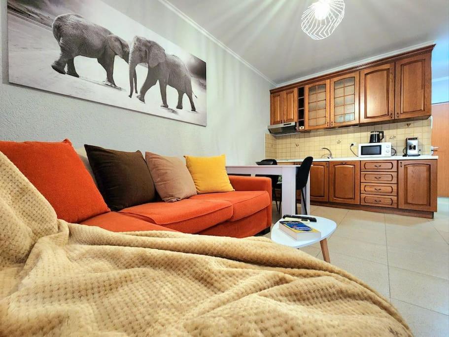 Ferienwohnung One Bd Flat Near Center With 24H Self Check In Tirana Exterior foto